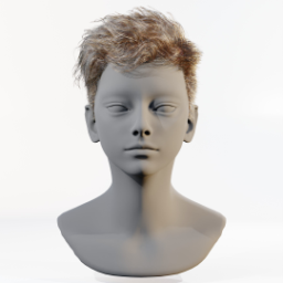008_hair