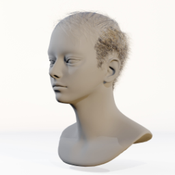006_hair