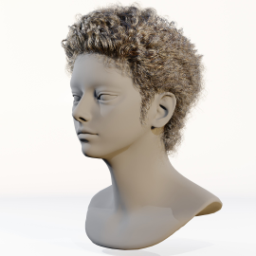 009_hair_b