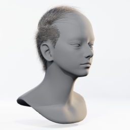 039_hair