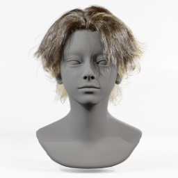 014_hair