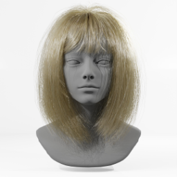 028_hair_a
