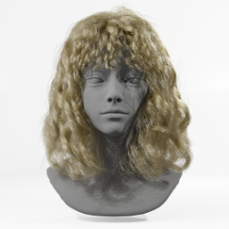 028_hair_b