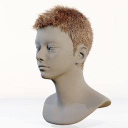 046_hair