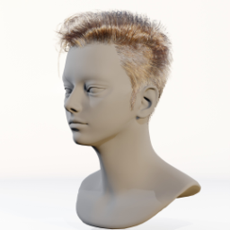 005_hair