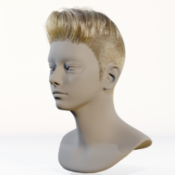 057_hair_a