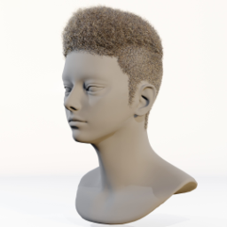 057_hair_b