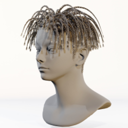 057_hair_e