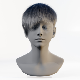 062_hair_a_1