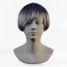 062_hair_b_1