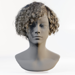 062_hair_b_2