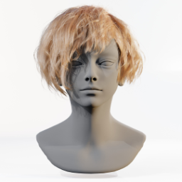 062_hair_b_3