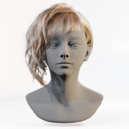 062_hair_b_5