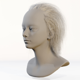 041_hair_a