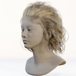 041_hair_b