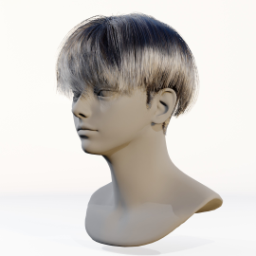 043_hair