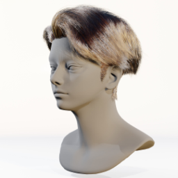 044_hair_a