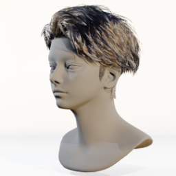 044_hair_b