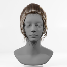 032_hair_d