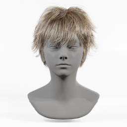 027_hair