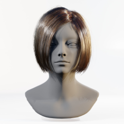 040_hair_b