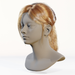 048_hair_a_1