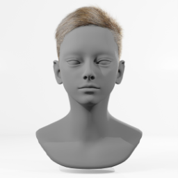 061_hair_a_1