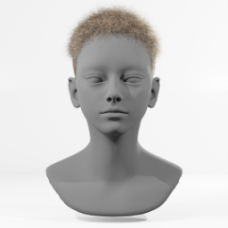 061_hair_a_3