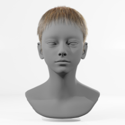 061_hair_b_1