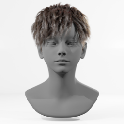 061_hair_b_15