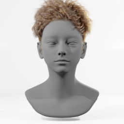 061_hair_b_22