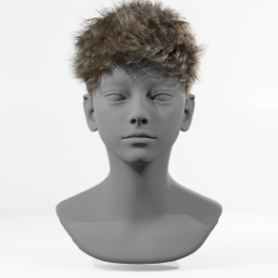 061_hair_b_24