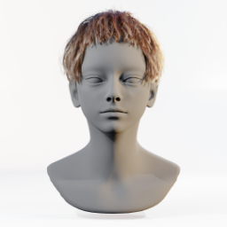 063_hair_a_1
