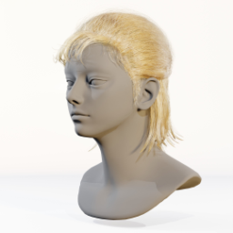 025_hair_a