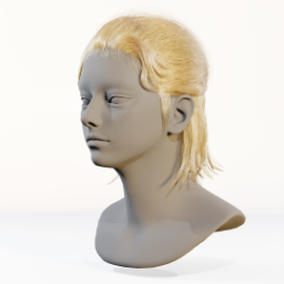 025_hair_b