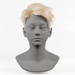 013_hair