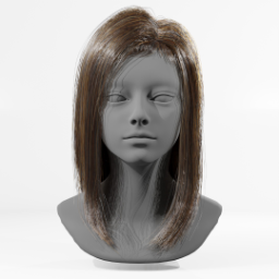 029_hair_a