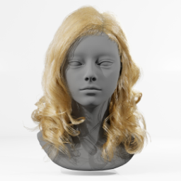 029_hair_b