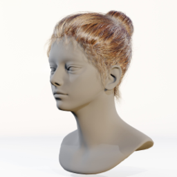 035_hair_1