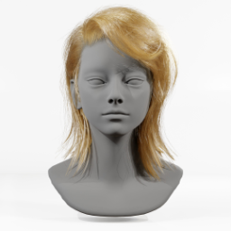 002_hair
