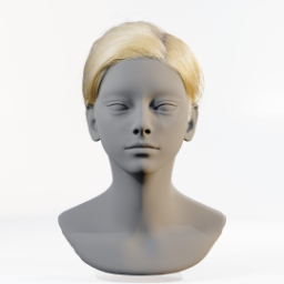 060_hair_a_5