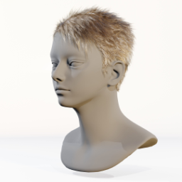 054_hair