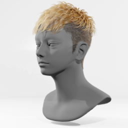 059_hair_d_1