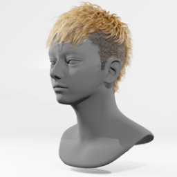 059_hair_d_2