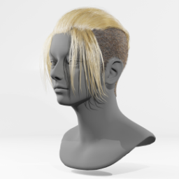 059_hair_e_4