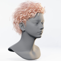 036_hair_b