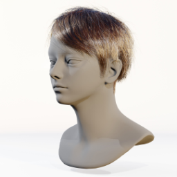 056_hair