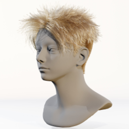 042_hair