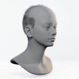 037_hair