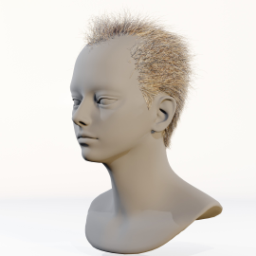 038_hair_a